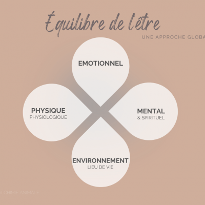 Mosaic hypnose spirituelle soins énergétiques