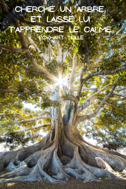 Cherche un arbre et laisse l